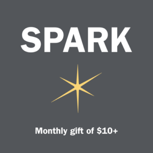 SparkGivingLevel